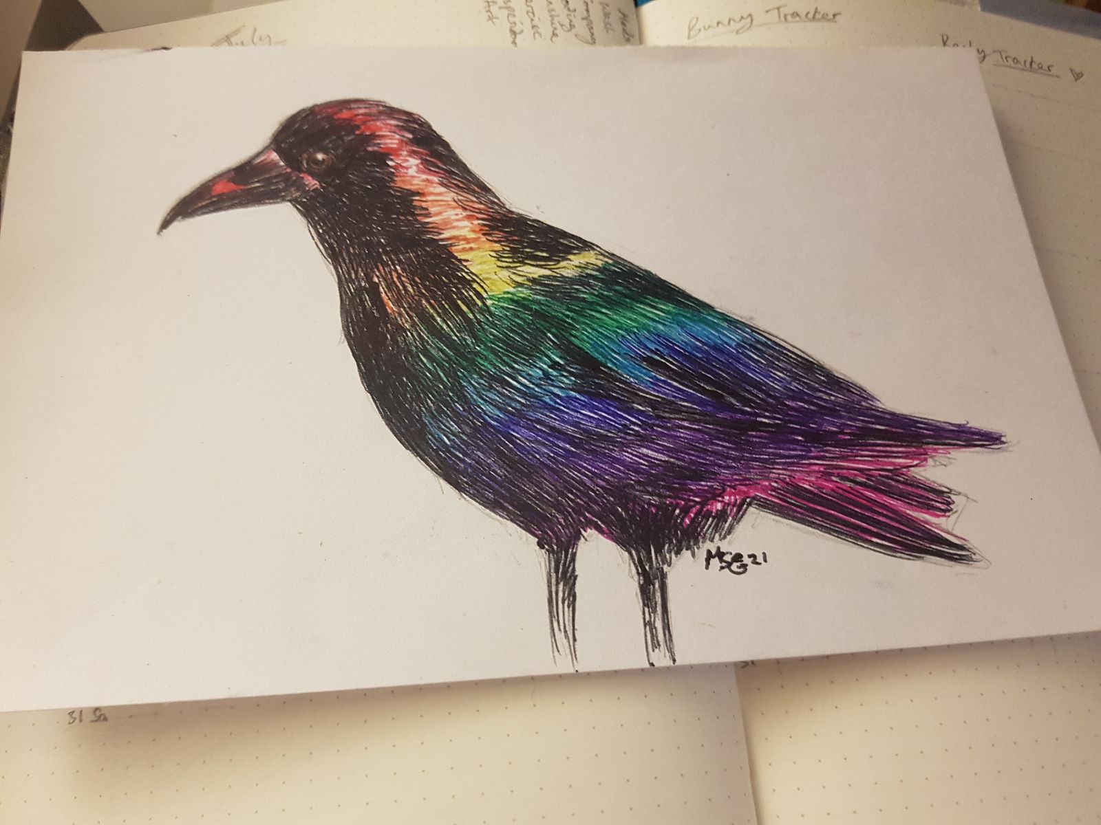 Ink drawing of a crow with rainbow coloured feathers, rather than black