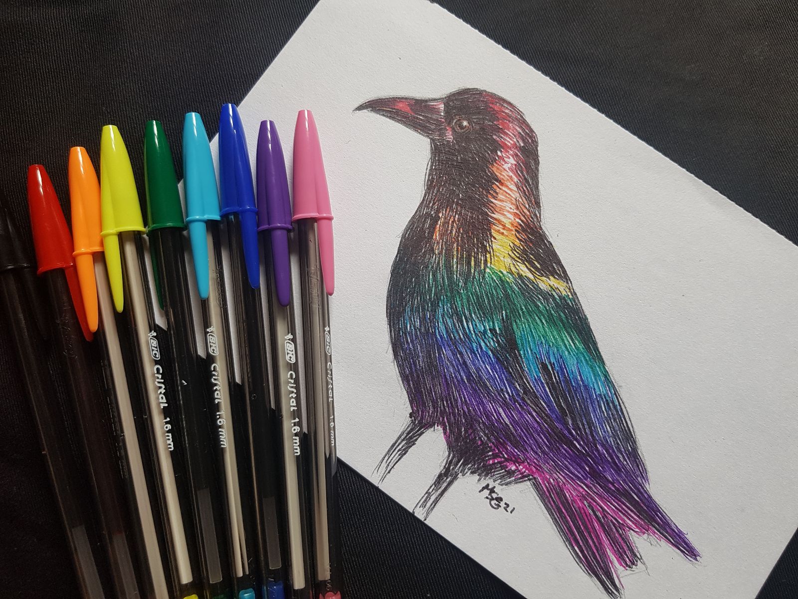 Photograph of the rainbow crow artwork alongside the rainbow coloured ballpoint pens used to draw it.