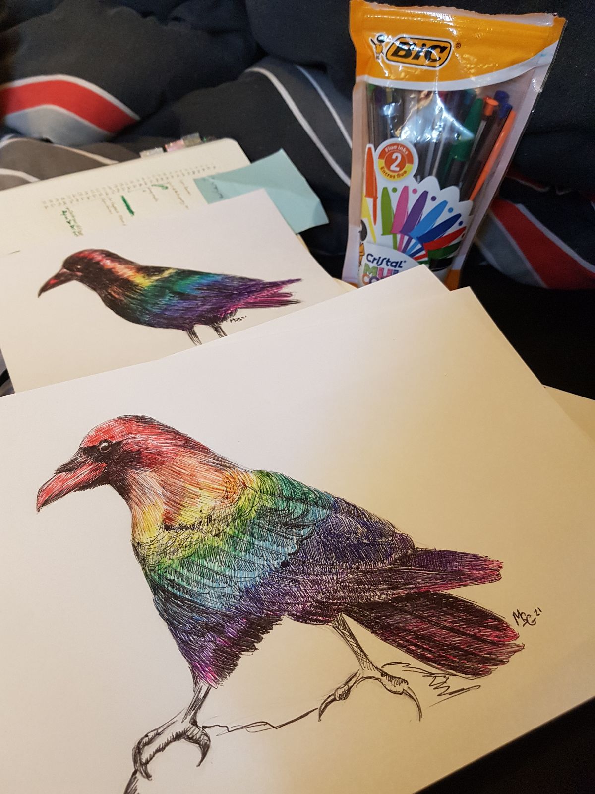 Photo of crow and raven artworks alongside the pens they were drawn with