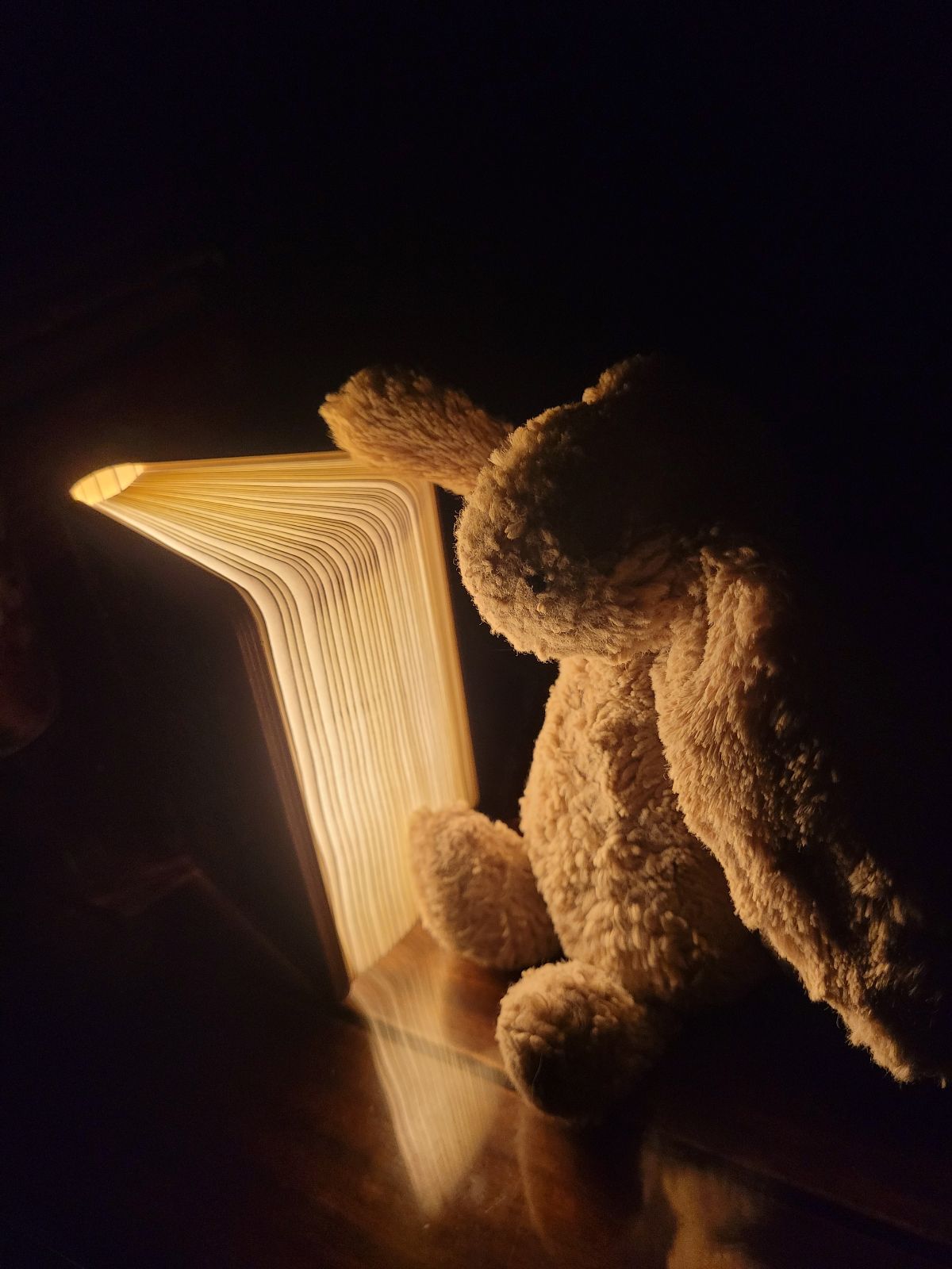 A toy rabbit is posed with his hand on the open book. His face is lit up by the light coming from inside.